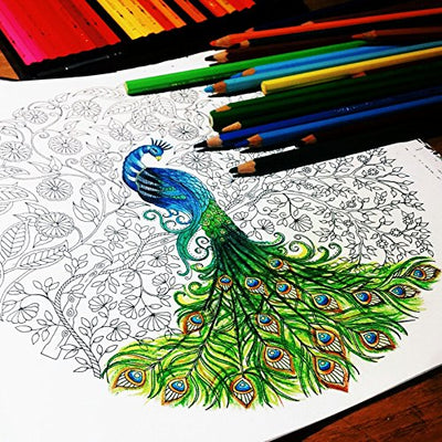 Drawing Pencils - 24 colors