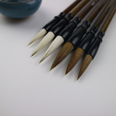 6 piece-Chinese Calligraphy Brushes Set